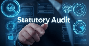 Statutory Audit: Who Needs It and Why?