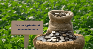 Agricultural Income in India: Exploring Tax Exemptions &amp; Deductions