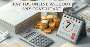 How to Pay TDS Online Without Any Consultant?
