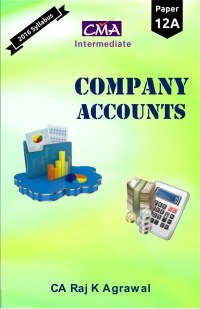 Company Accounts and Audit