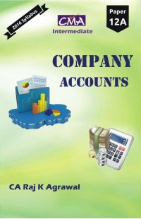 Company Accounts and Audit