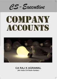Company Accounts & Auditing Practices